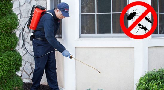 Suşehri Dezenfeksiyon böcek ilaçlama ve haşere kontrolü — ilaclama-tr.com